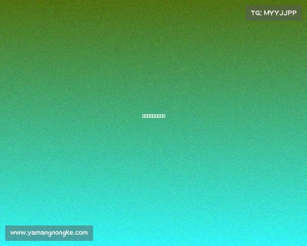 英超观赛包哪种划算