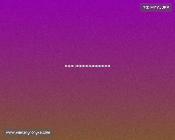 中学申请承办 赛事中学申请承办赛事全过程策略解析与成功案例分析